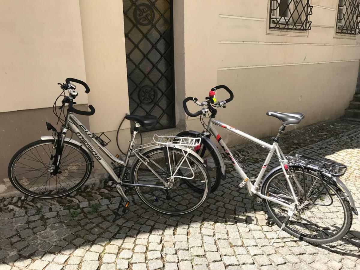 Lovely Flat In A Lovely City Steyr Eksteriør bilde